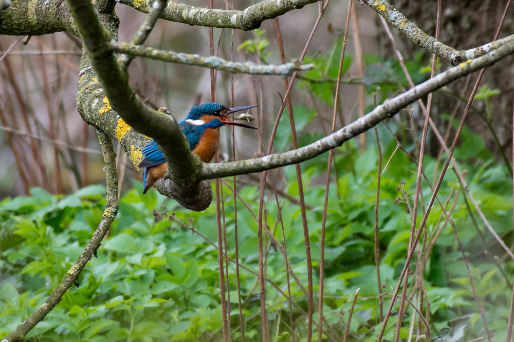 DSC_8656.jpg