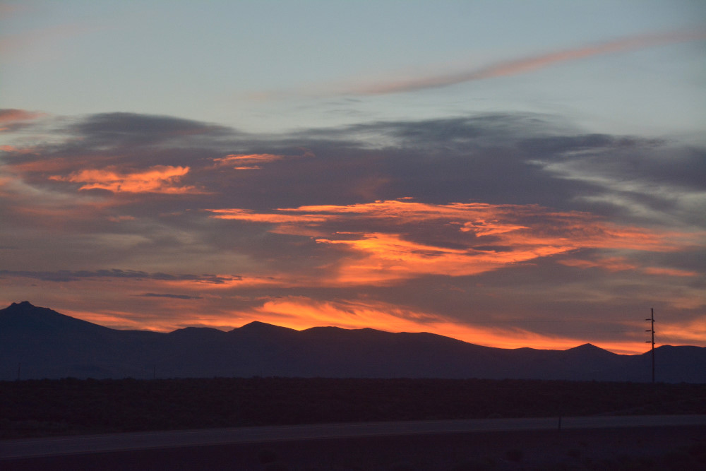 DSC_8662.JPG