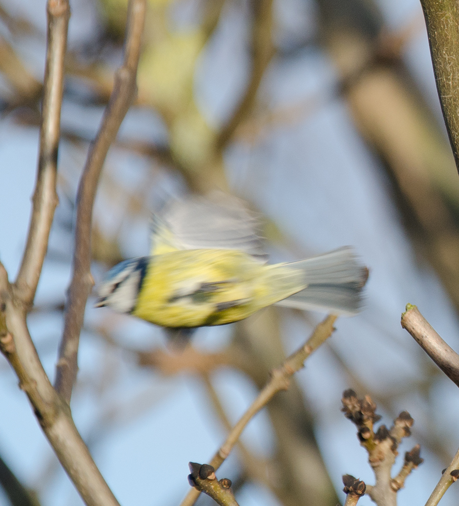 DSC_8662.jpg