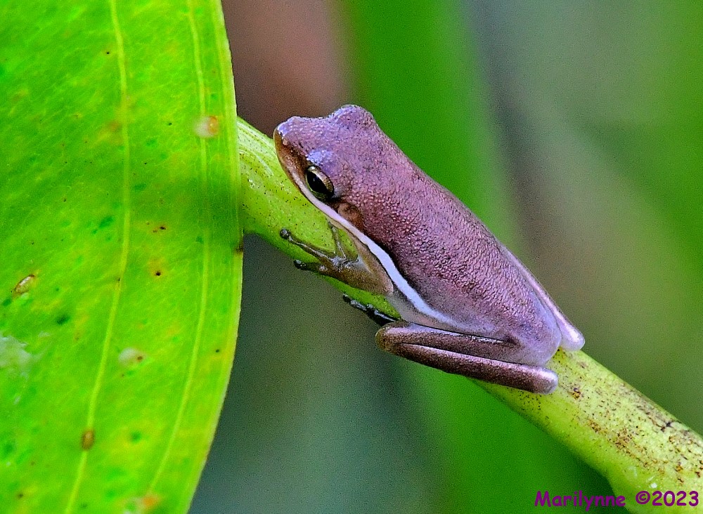 DSC_8663_001.JPG