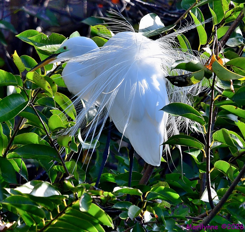 DSC_8666_001.JPG