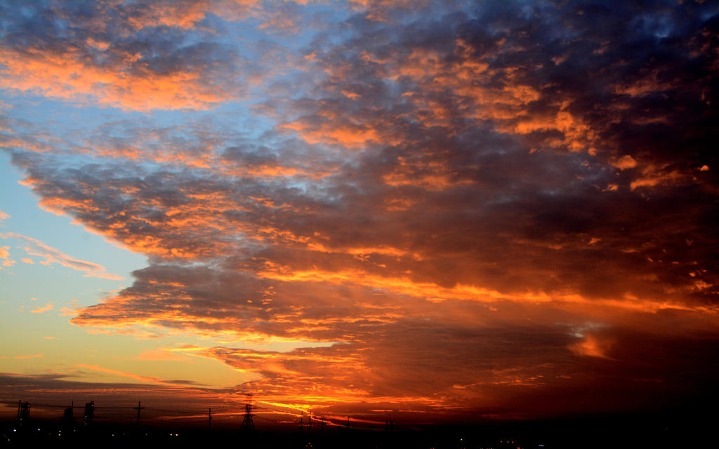 DSC_8668.jpg