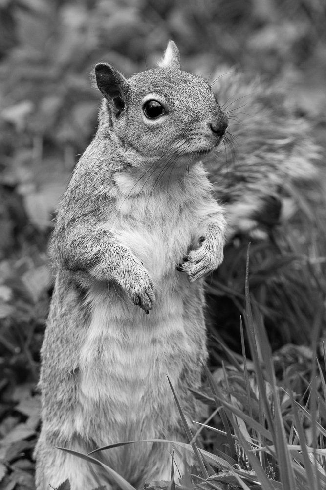 DSC_8671.jpg