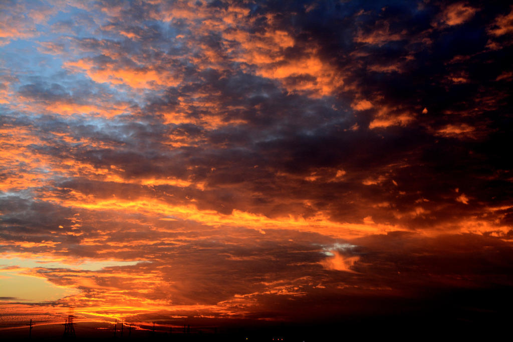 DSC_8673.jpg