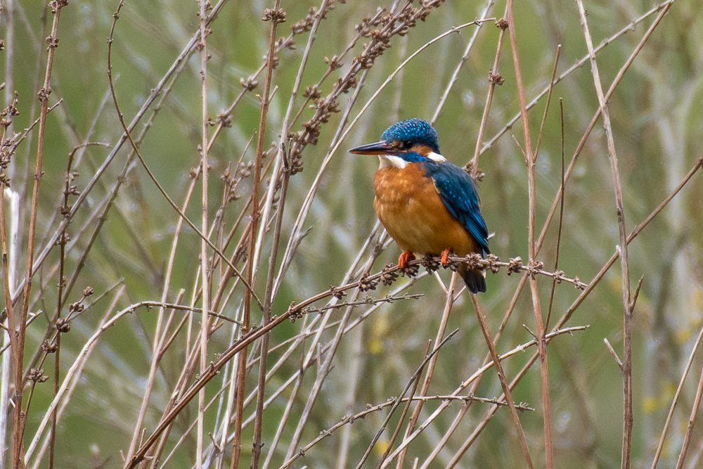 DSC_8673.jpg