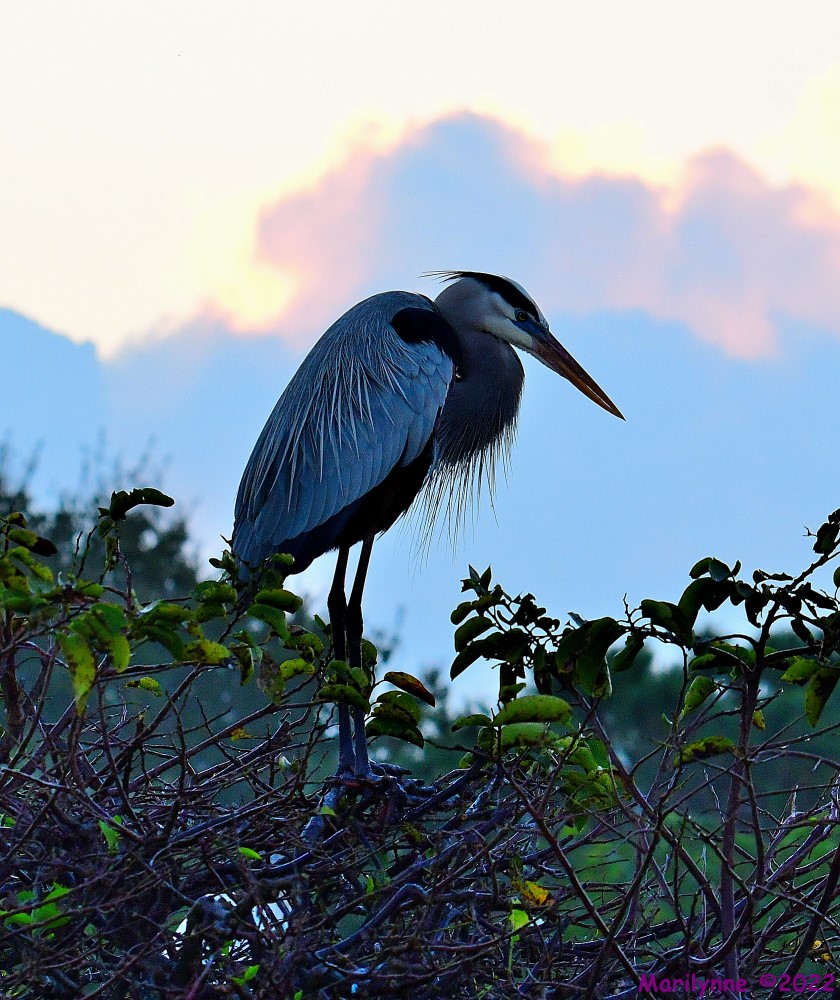 DSC_8673_001.JPG