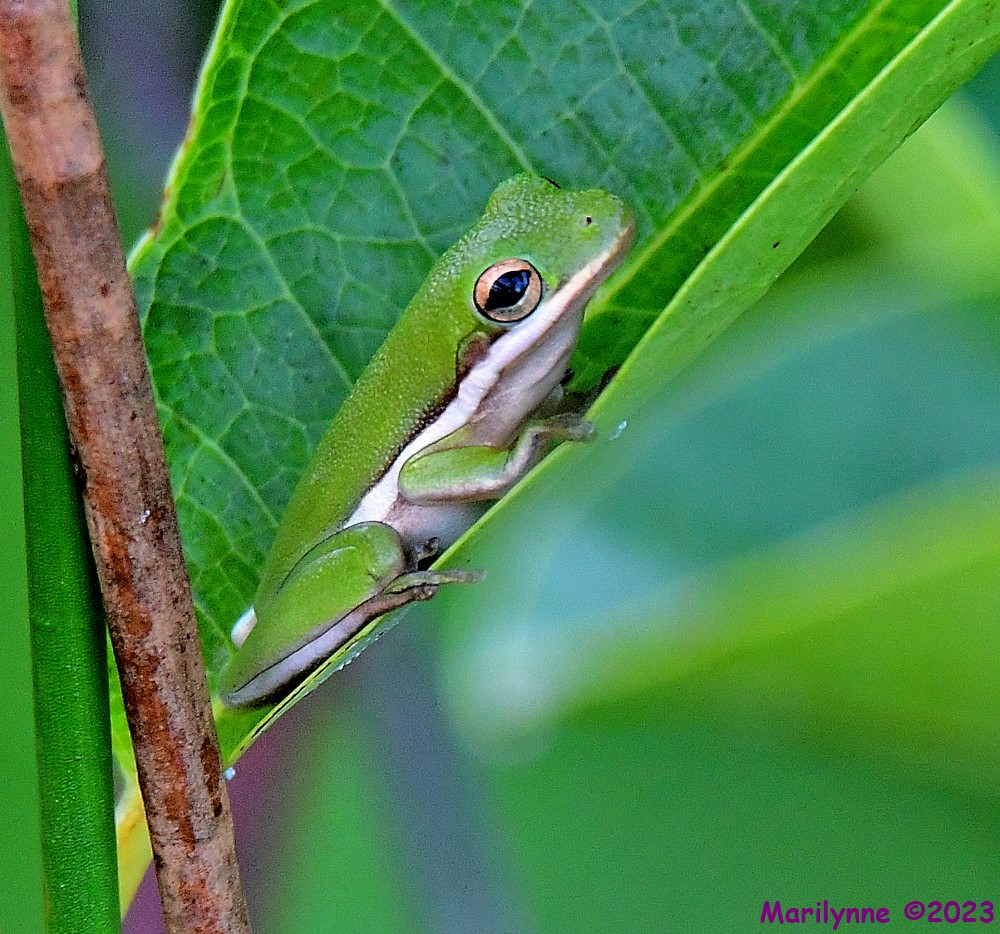 DSC_8673_001.JPG