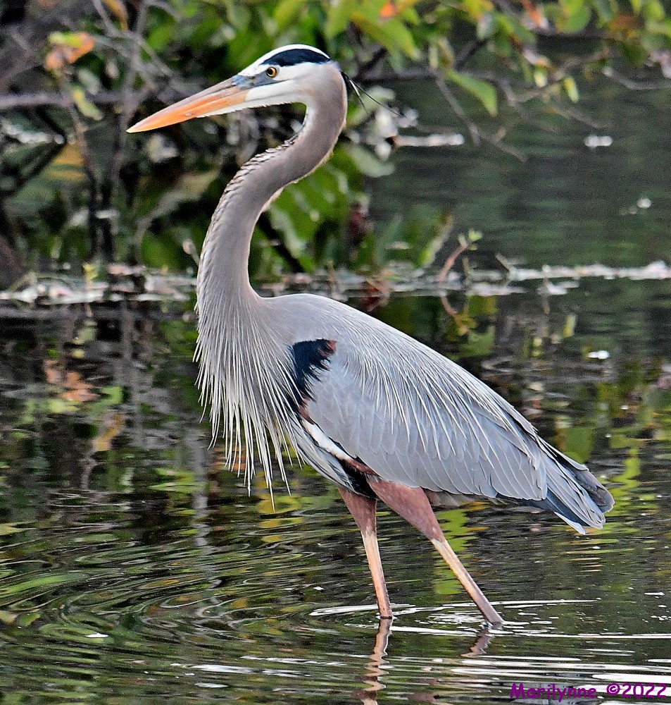 DSC_8674_001.JPG