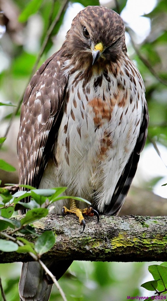DSC_8676_001.JPG