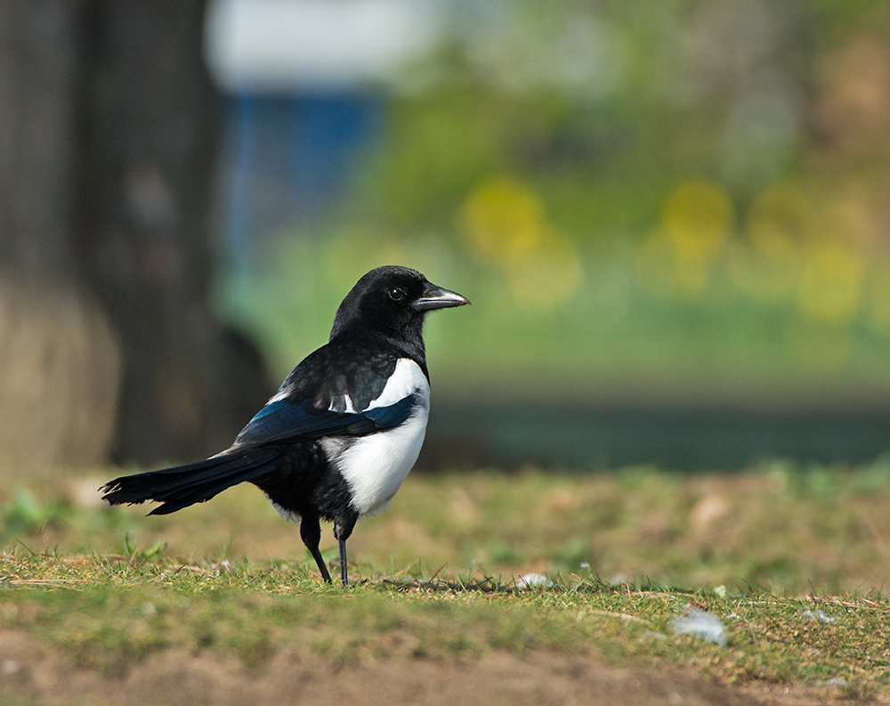 DSC_8678.jpg