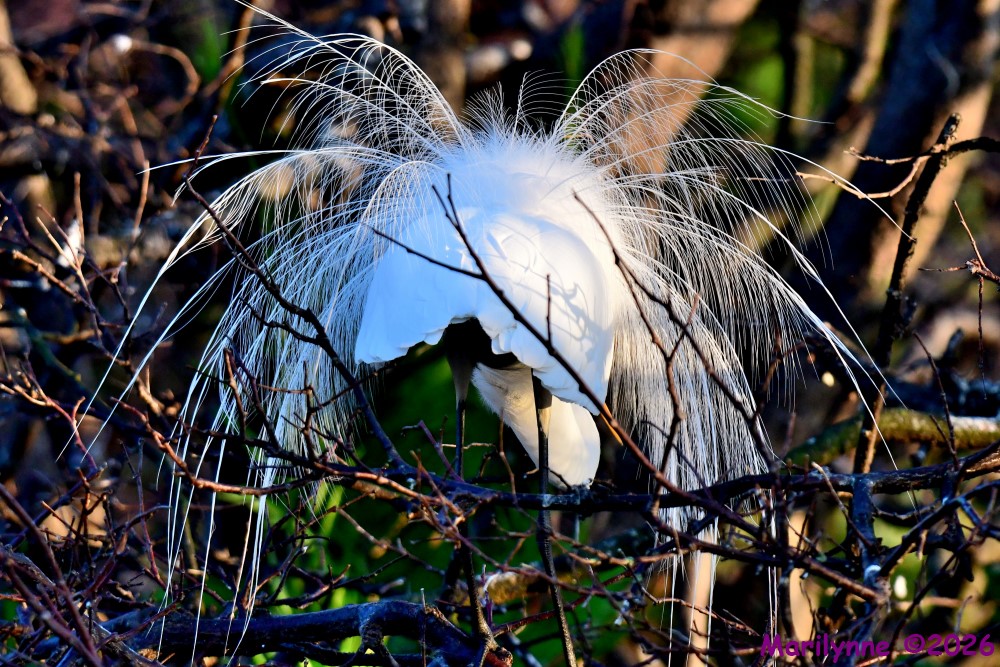DSC_8678_001.JPG