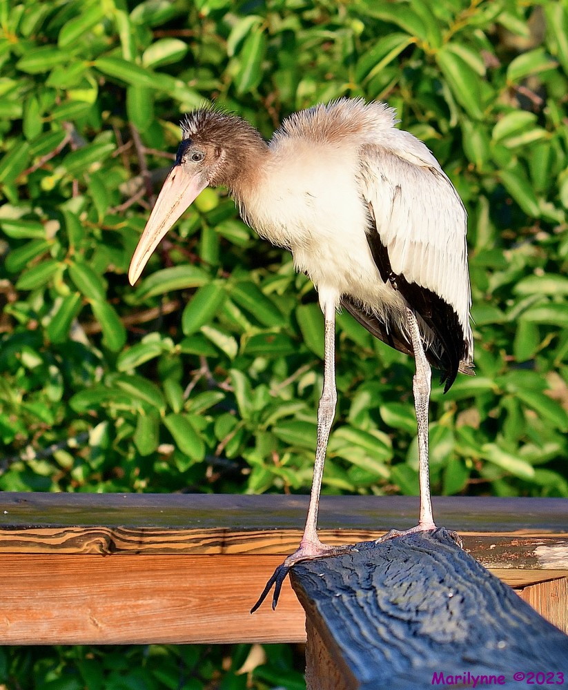 DSC_8680_001.JPG