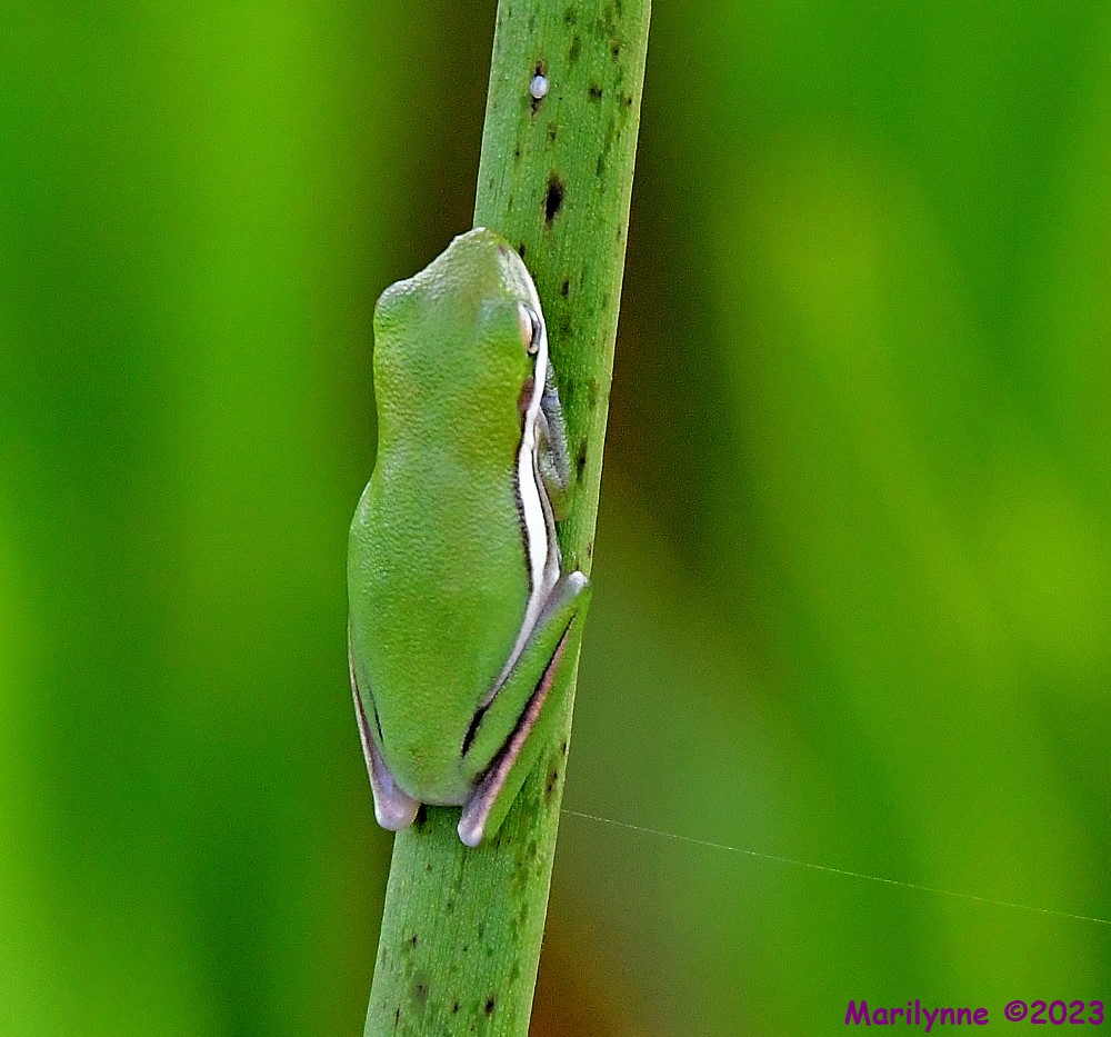 DSC_8680_001.JPG