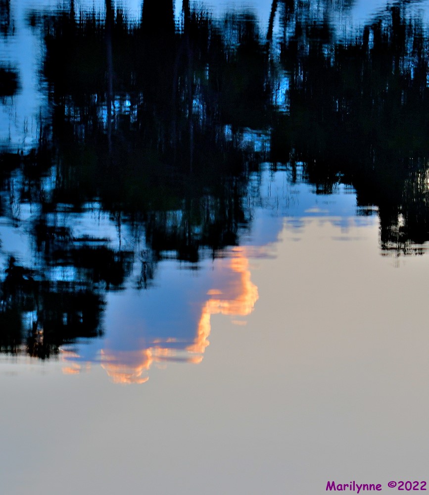 DSC_8681_001.JPG