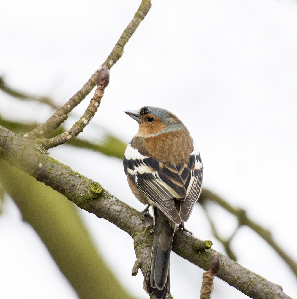 DSC_8682.jpg