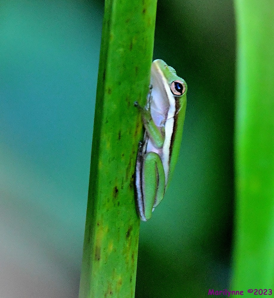 DSC_8685_001.JPG
