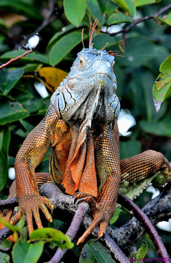 DSC_8686_001.JPG