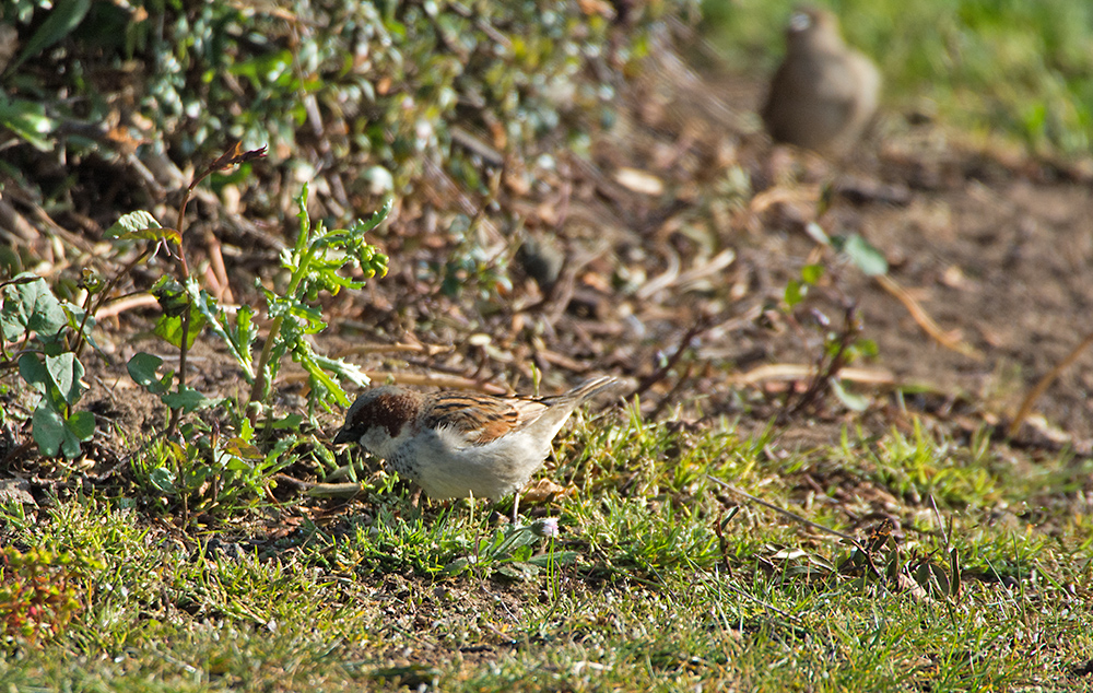 DSC_8689.jpg