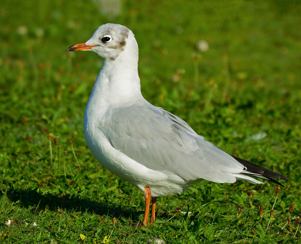 DSC_8689.jpg