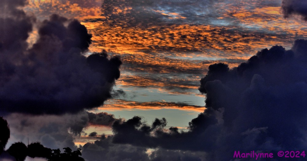 DSC_8690_stitch5_001.JPG