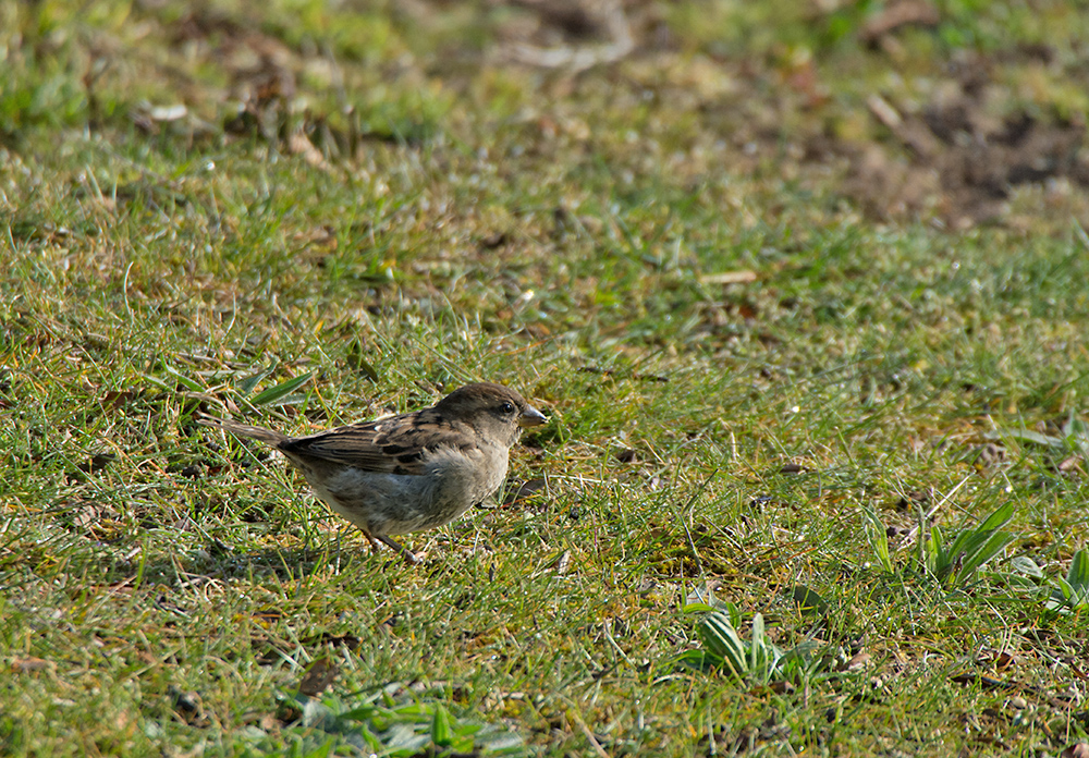 DSC_8691.jpg