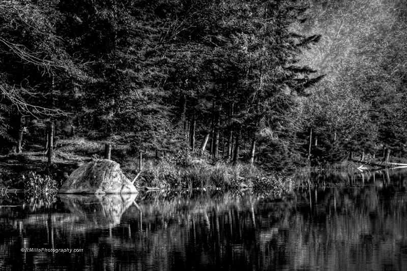 DSC_8695_11256_tonemapped.jpg