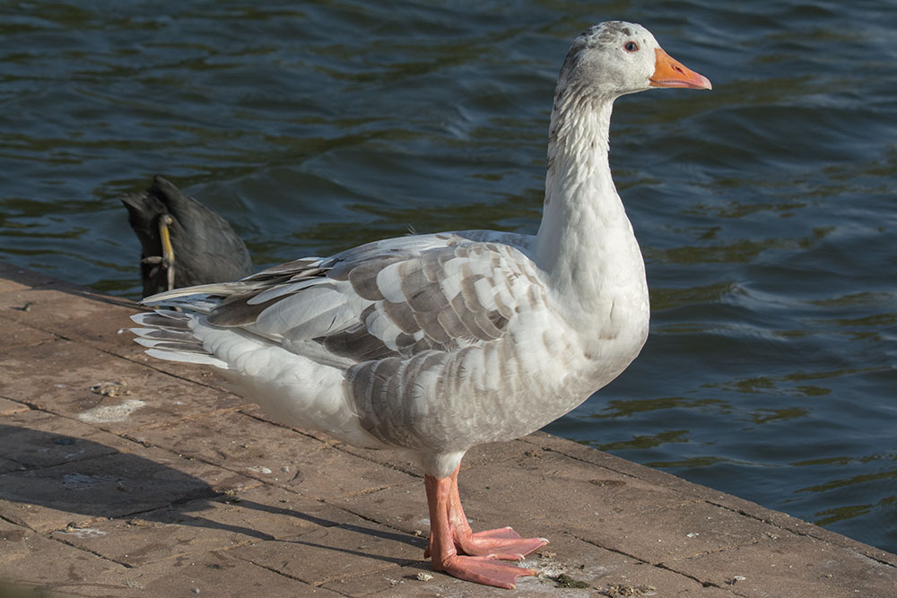 DSC_8697.jpg