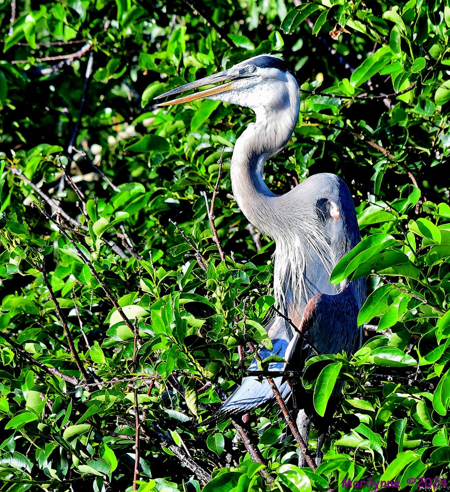 DSC_8699_001.JPG