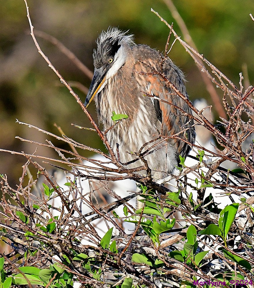 DSC_8701_001.JPG