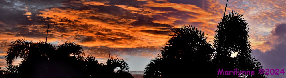 DSC_8701_stitch6_001.JPG
