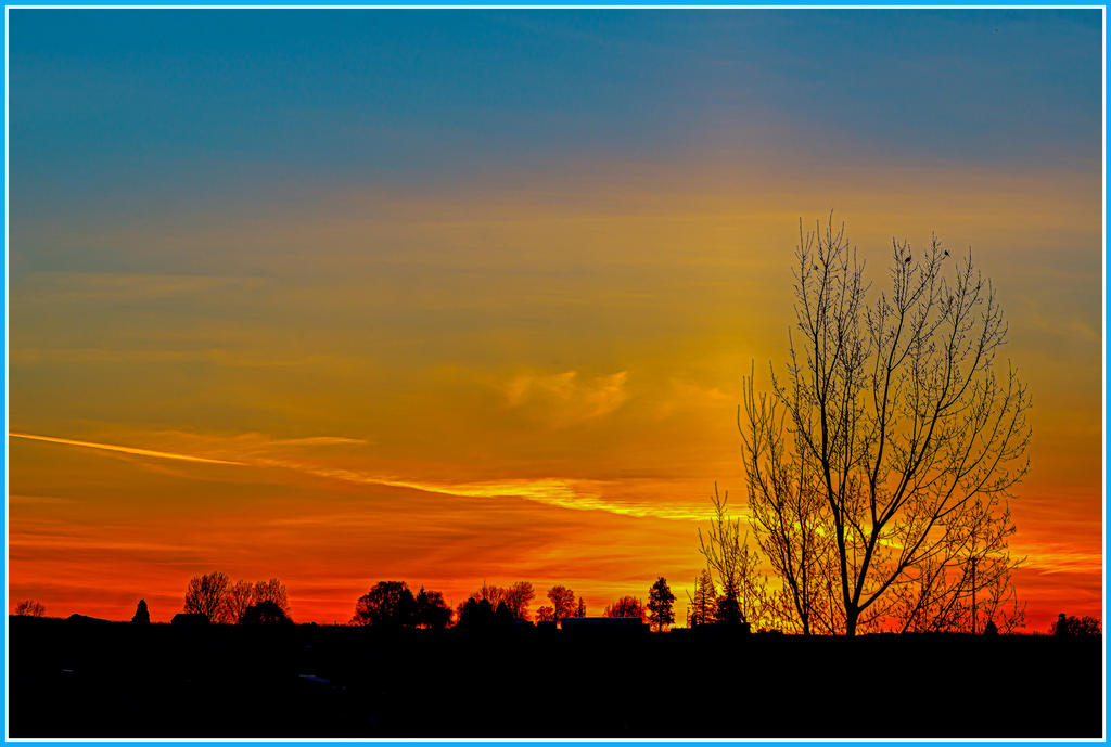 DSC_8702-Edit.jpg
