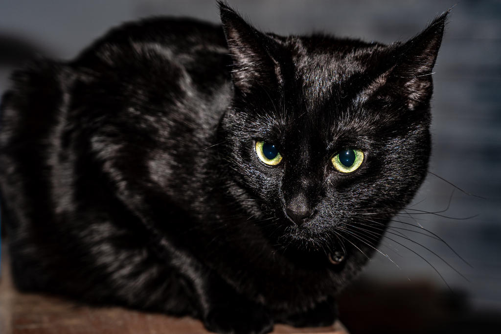 DSC_8703.jpg