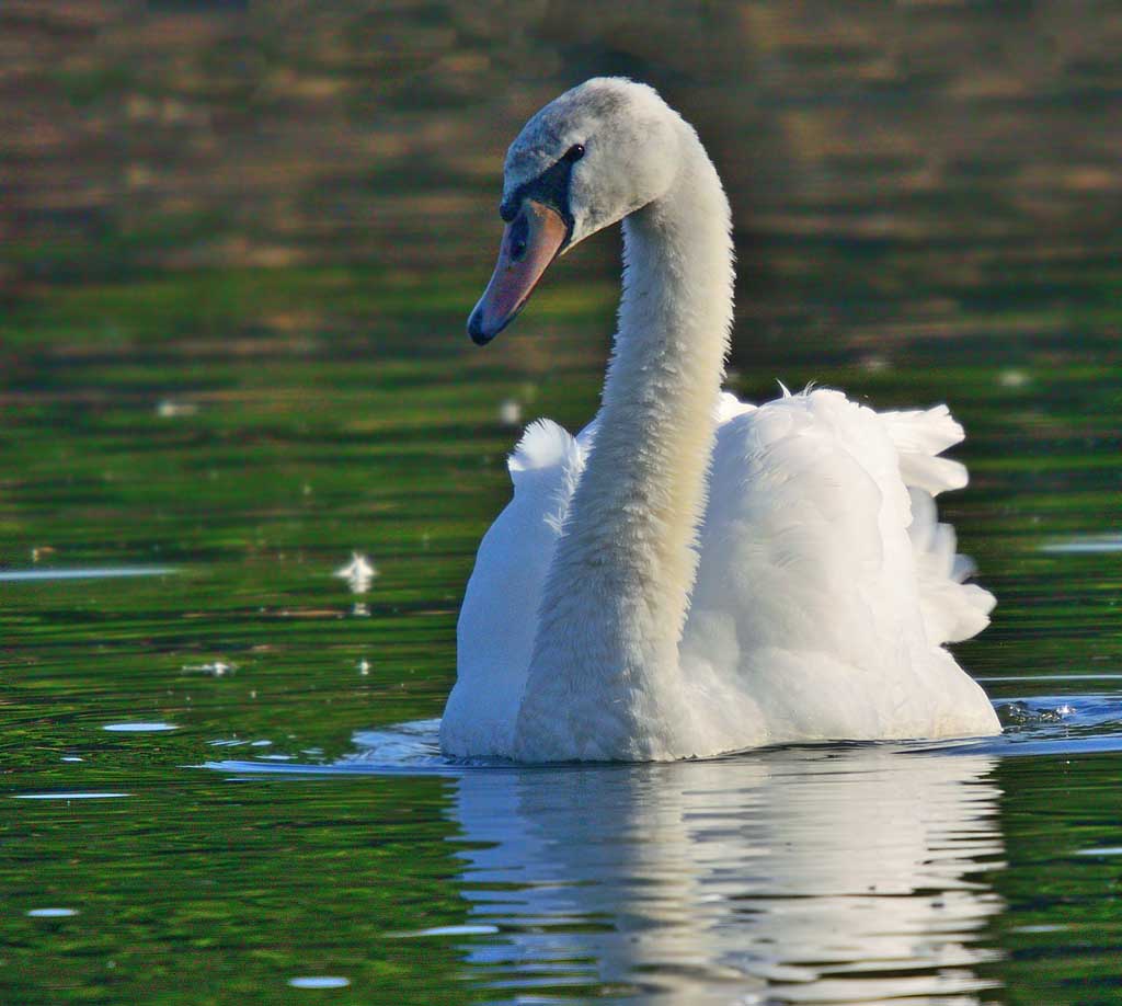 DSC_8709_01.jpg