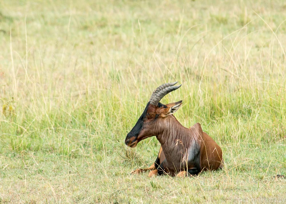 DSC_8715.jpg