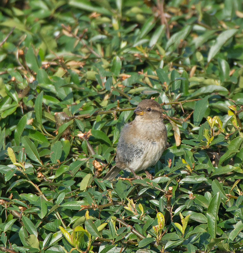 DSC_8716.jpg
