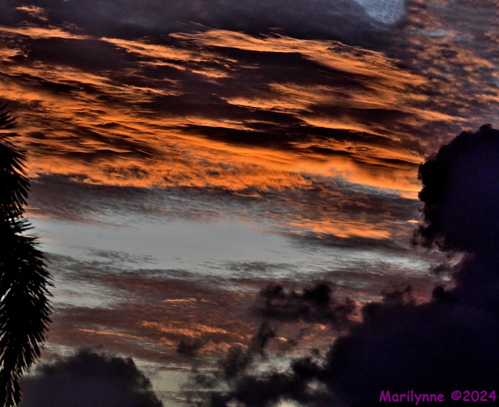 DSC_8717_stitch3_001.JPG