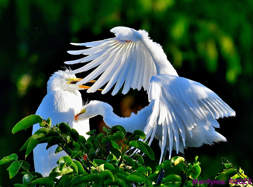 DSC_8718_001.JPG