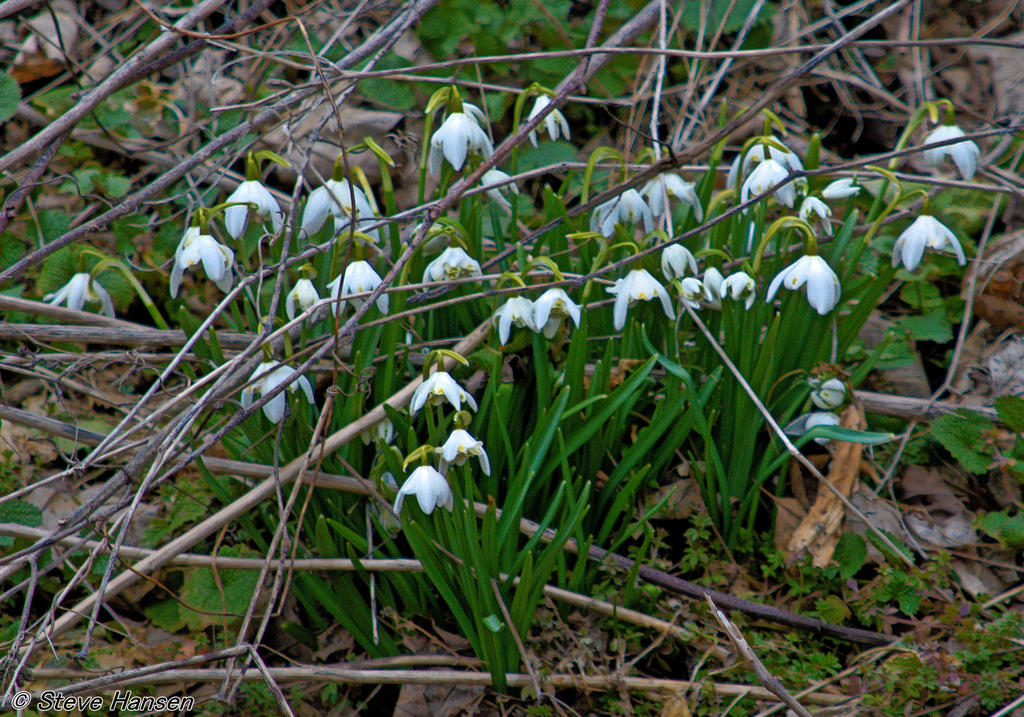 DSC_8719.jpg