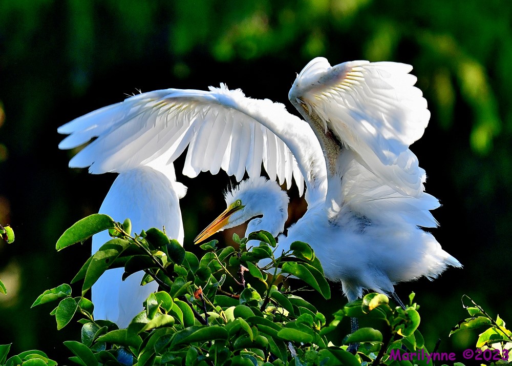 DSC_8720_001.JPG