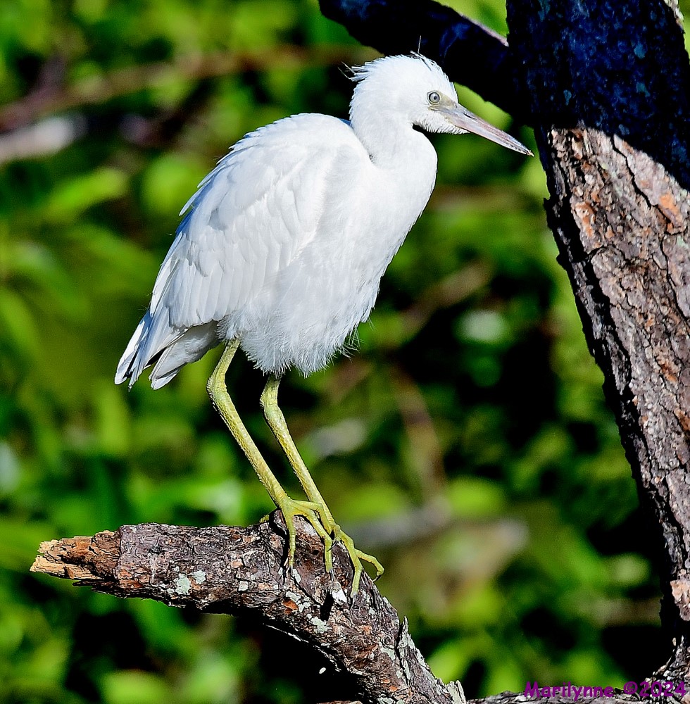 DSC_8722_001.JPG
