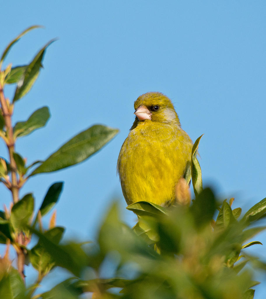 DSC_8724.jpg