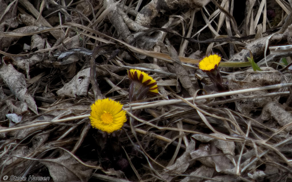 DSC_8726.jpg