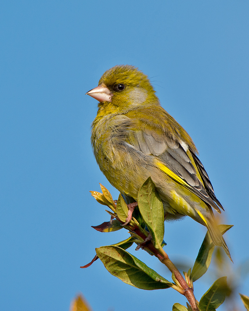 DSC_8734.jpg
