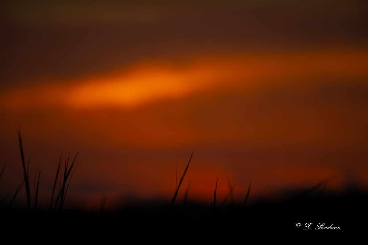 DSC_8734.jpg