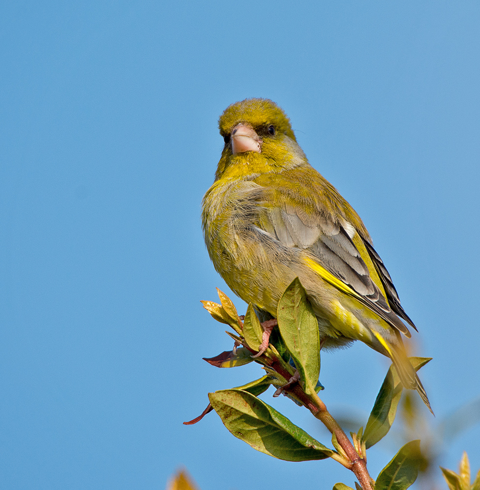 DSC_8735.jpg