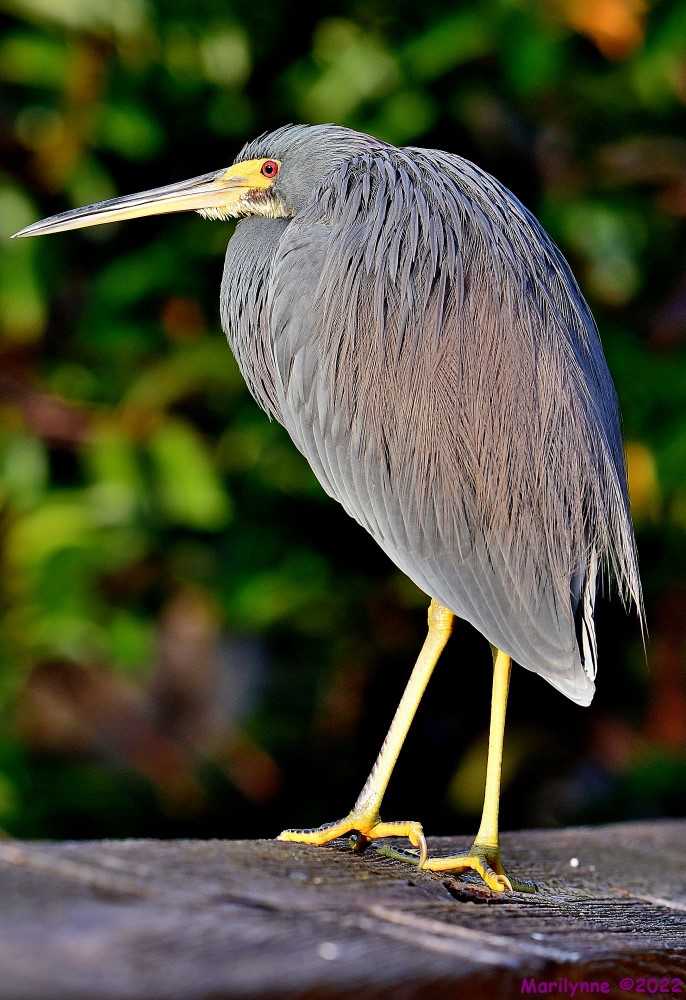 DSC_8736_001.JPG