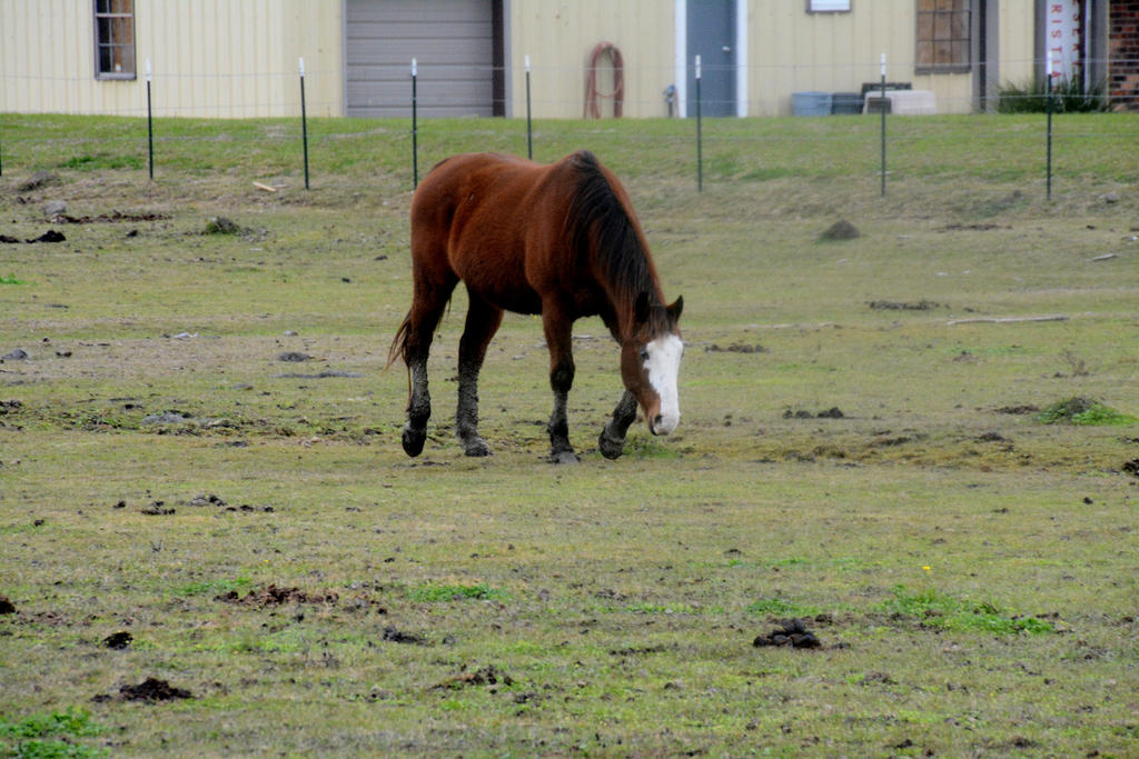 DSC_8738.jpg