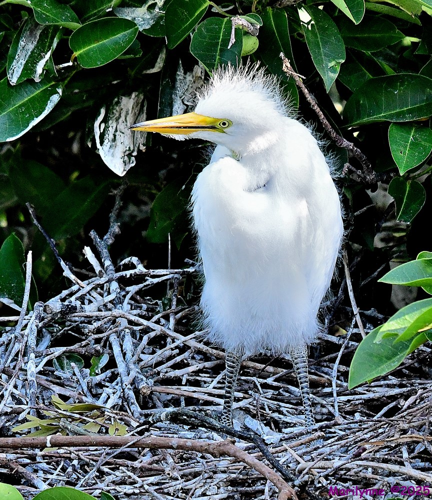 DSC_8745_001.JPG