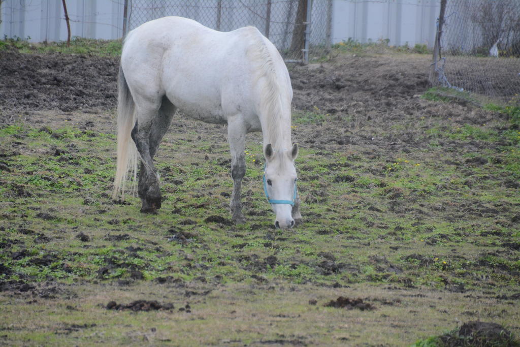 DSC_8746.jpg
