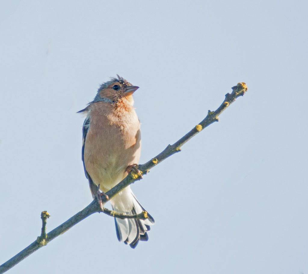 DSC_8746.jpg
